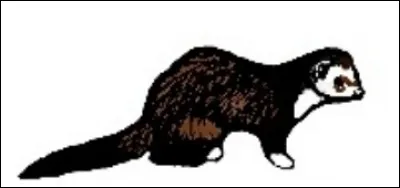 De quel marquage s'agit-il ?