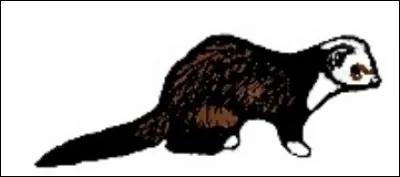 De quel marquage s'agit-il ?