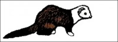 De quel marquage s'agit-il ?