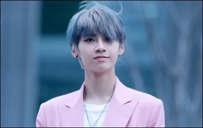 De quel groupe fait-elle partie ?