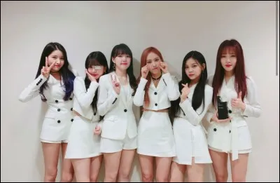 Quel est leur nom de fandom ?