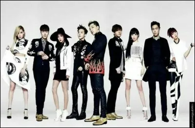 En quelle ann&eacute;e les groupes &laquo;&nbsp;BIGBANG&nbsp;&raquo; et &laquo;&nbsp;2NE1&nbsp;&raquo; ont-ils d&eacute;but&eacute; ?