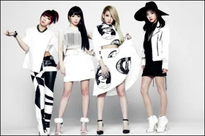 Quelle est la membre la plus âgée de « 2NE1 » ?