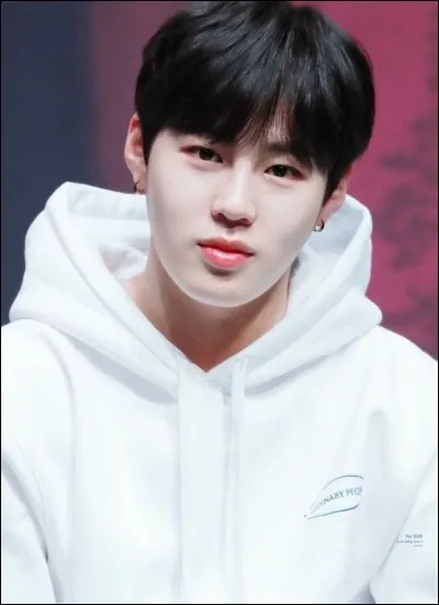 De quel groupe vient-il ?