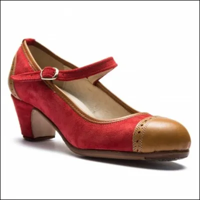 Une belle chaussure, élégante mais surtout portée par certaines artistes. Quel est son nom ?