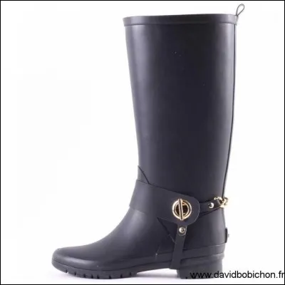 Quel est le nom de cette botte ?