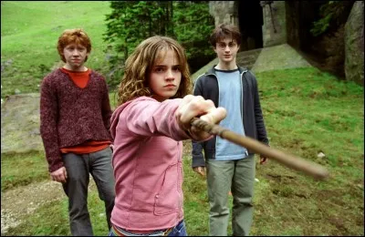 Comment s'appelle le chat d'Hermione Granger ?