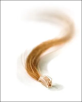 Quand le cheveu a fini de pousser, il tombe.