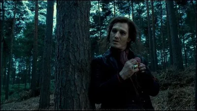 Qu'est-ce qu'un rafleur ?