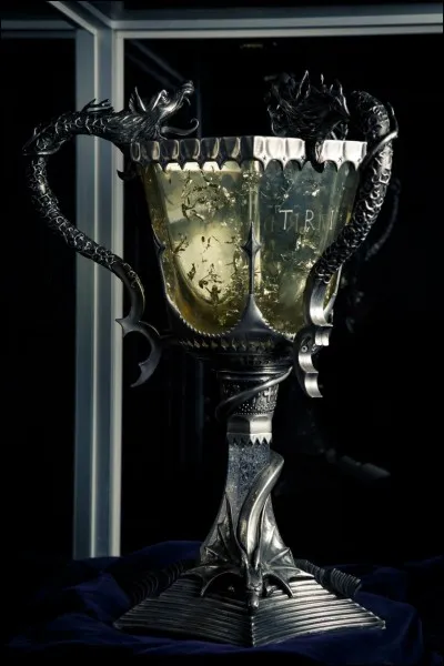 Qui sont les personnes que sauvent Harry dans le lac des sir&egrave;nes dans la deuxi&egrave;me t&acirc;che du Tournoi des Trois Sorciers ?