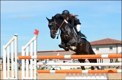 As-tu déjà regardé quelqu'un monter à cheval ?