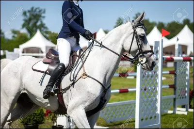 Y a-t-il quelqu'un de ton entourage qui fait de l'équitation ?