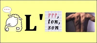 Quelle est la bonne réponse ?