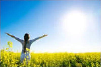 Qu'est-ce qui est le plus important ?