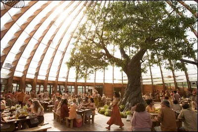 Le test des fraternels marche ?