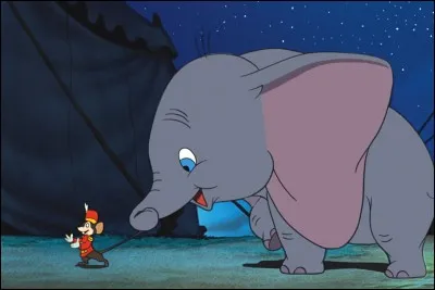Cet éléphant assez spécial...