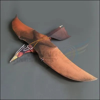 Les ptérodactyles ont été les plus gros animaux volants