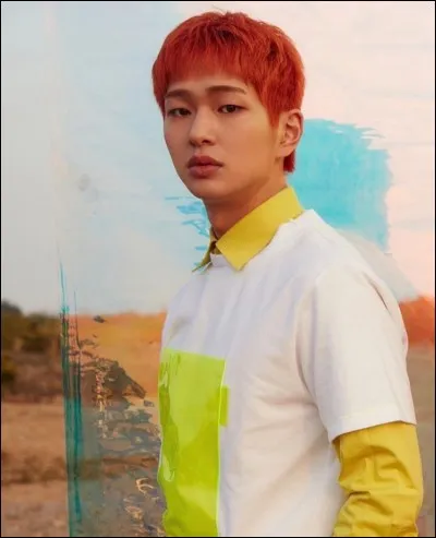 Quel membre de SHINee est-ce ?