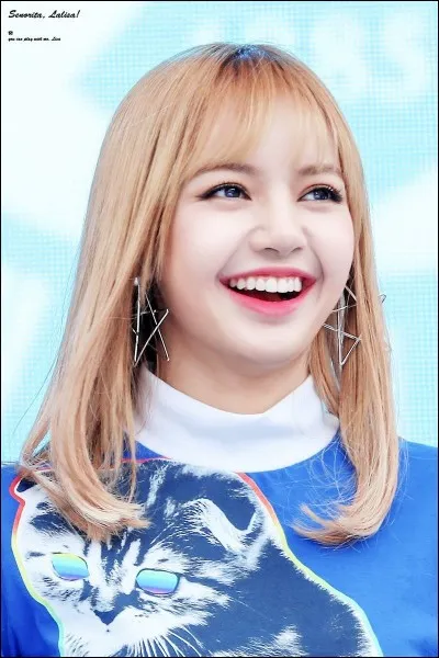 En quelle année le groupe a-t-il débuté ?