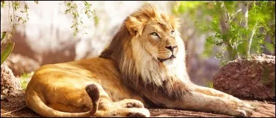 Autrefois, il y avait des lions en Europe.