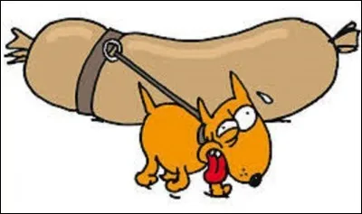 [Expression française]

Que signifie l'expression ''Ne pas attacher son chien avec des saucisses'' ?