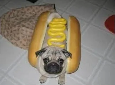 [Cuisine (si l'on peut dire) / géographie]

Le hot-dog est un sandwich composé d'un pain allongé, grillé ou chauffé à la vapeur, fourré d'une saucisse cuite, et agrémenté de condiments et différentes sauces. Signifiant ''chien-chaud'' en français, son origine connue remonte à l'année 1845, environ. 
De quel pays est-il originaire ?