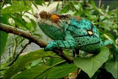 Elle nous plonge dans des chronologies, des événements et elle fut d'abord orale avant qu'on ne la couche en récits :