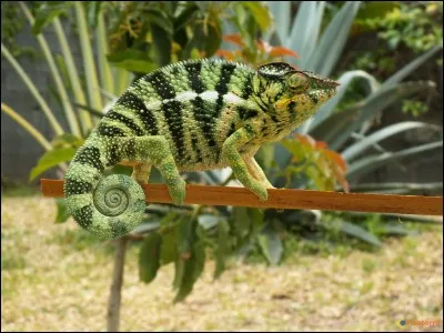 C'est une rubrique dite à la pointe ; on pourrait même voler haut !