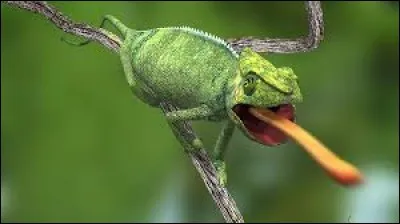 Exercice bien mal partagé, mal compris, mais ne saurait être considéré comme tel que par son destinataire et non par son expéditeur !