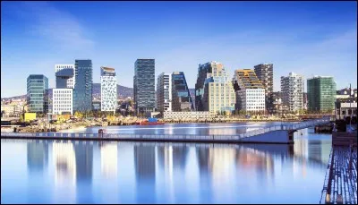 L'ocelot est un félin. 
Et Oslo est une capitale. Mais de quel pays ?