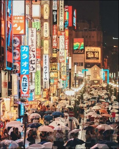 De quel pays Tokyo est-elle la capitale ?