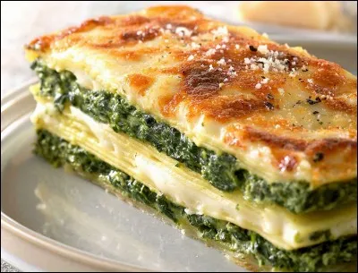 Comment appelle-t-on ce plat ?