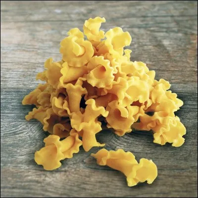 Comment s'appellent ces pâtes ?