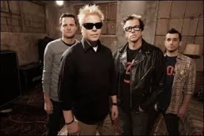 ''Can't Repeat'' est un titre du groupe Offspring. Que signifie en anglais le nom de ce groupe ?