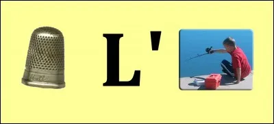 Quelle est la bonne réponse ?