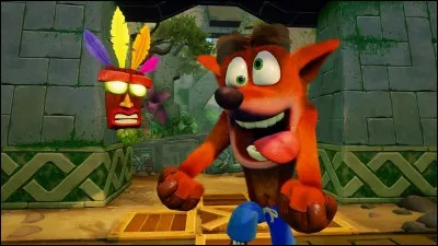 Comment s'appelle ce renard marron qui doit battre le Dr Cortex ?