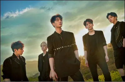 Comment te décrirais-tu ?