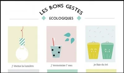 Faites-vous des gestes écologiques dans votre vie quotidienne ?