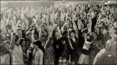 En mai 1968, d'importantes grèves et de nombreuses manifestations agitent la France.