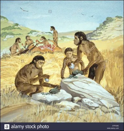 Le tout premier membre du genre Homo que nous connaissons est "Homo habilis". Depuis combien de millions d'années a-t-il évolué ?