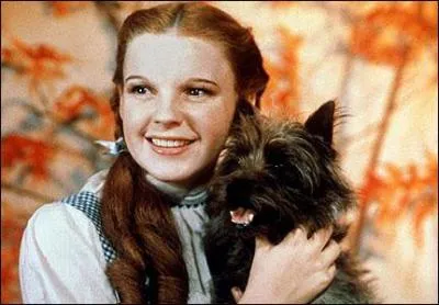 Comment s'appelle le chien de Dorothy dans 'Le Magicien d'Oz' ?