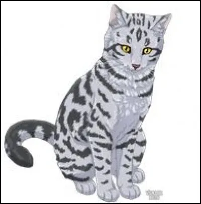 Qui est la compagne du héros ?