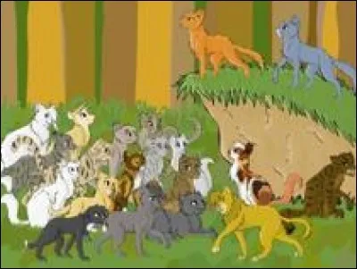 Quel signe incite le chef à le nommer lieutenant ?