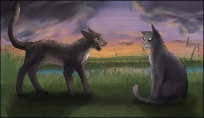 Qui sont leurs parents ?