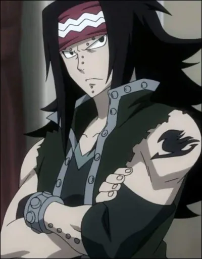 Comment s'appelle l'exceed de Gajeel ?