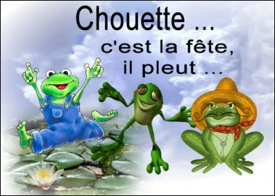 [...] est-ce la fête à la grenouille ? [...] il pleut, bien sûr !