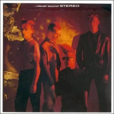 Bien que plus influenc&eacute; par le garage des 60's que le rockabilly, ce groupe fut pourtant important dans le psychobilly anglais des 80's. Quel est son nom ?