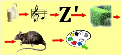 Quelle est la bonne réponse ?