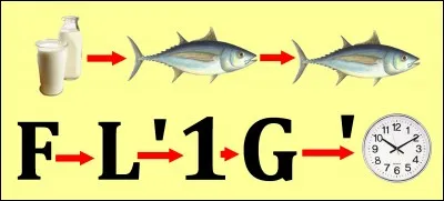 Quelle est la bonne réponse ?
