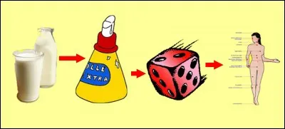 Quelle est la bonne réponse ?